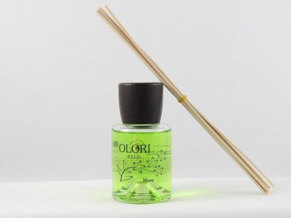 Olori 200ml Frische Minze inkl. Stäbchen